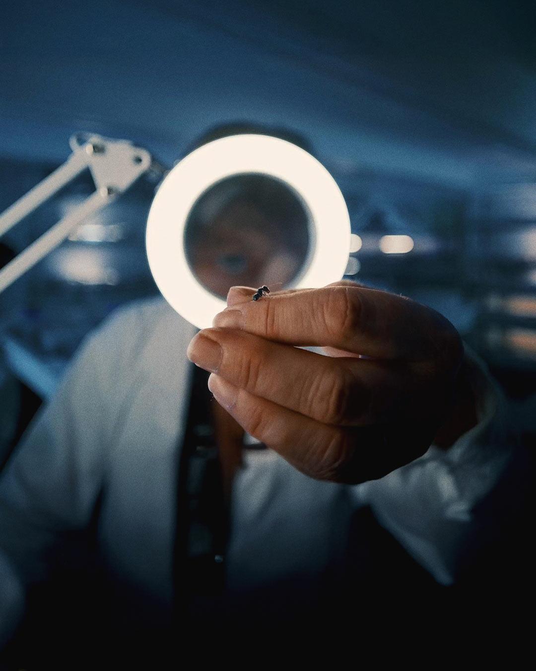 Plan en grand angle d'une main tenant un insecte devant une lampe circulaire lors d'un tournage vidéo, illustrant l'impact de la profondeur de champ.