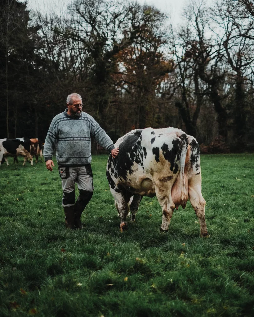 Éleveur marchant dans un pré avec une vache pendant le tournage du film Le Monde des Crêpes.